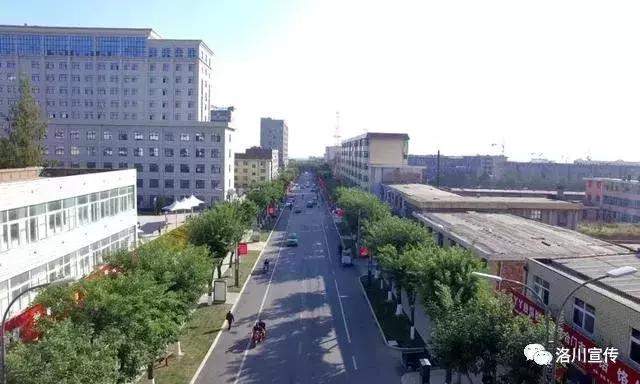 洛川邂逅,自然之美的温柔之旅